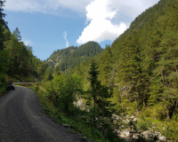 20190825_121401-scaled