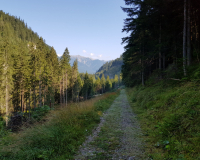 20190826_101401-scaled