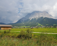 20190826_145241-scaled