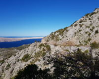 20181004_095255