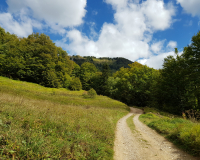 20180926_140410