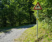 20190904_144311-scaled