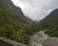 20190905_121434-scaled