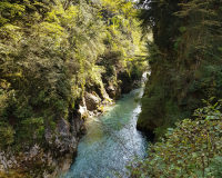 20180917_145044