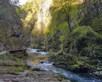 20181004_161124